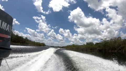 View from back of speed boat on river 스톡 동영상 168532645