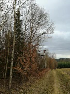 View back   wild-path   hunters towerbox Stock Photos