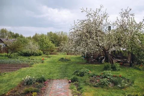 View of a back yard after rain, fresh green nature in countryside after rain in Stock Photos