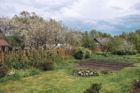 View of a back yard after rain, fresh green nature in countryside after rain in Stock Photos