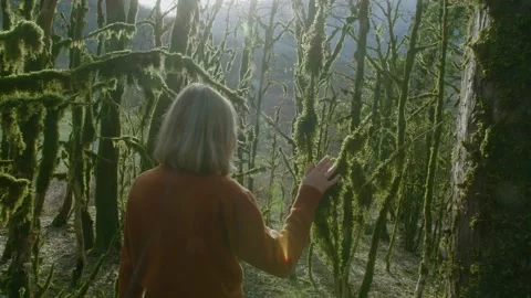 A view from the back on a young beautiful blonde girl with long hair. The girl Stock Footage 148504194