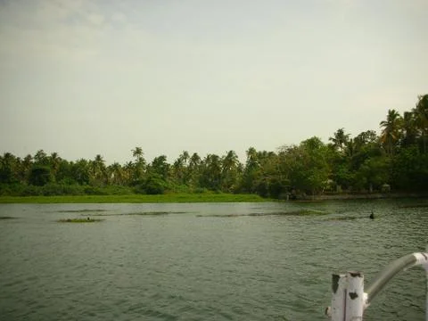A view of backwaters Stock Photos