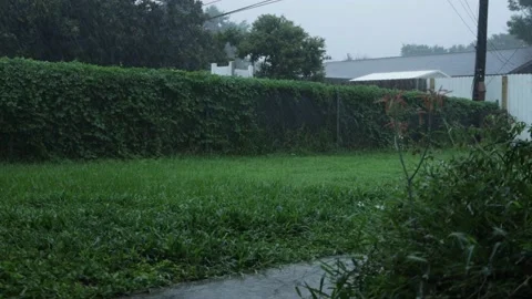 View of a backyard concrete path and vine covered fence during a thunder stor Stock Footage 138518247