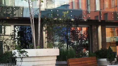 View of the backyard of the modern business center with plants and wooden bench 스톡 동영상 211106977