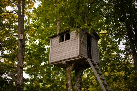View of a backyard tree house hiding up high in the branches and green leafs Stock Photos