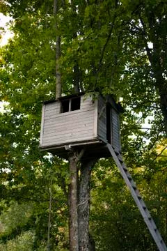 View of a backyard tree house hiding up high in the branches and green leafs Stock Photos