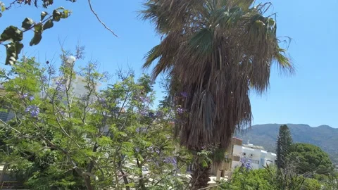 View from the balcony in the cottage: trees and mountain views Stock Footage 219820087