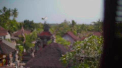 A View in Bali Stock Footage 333819698