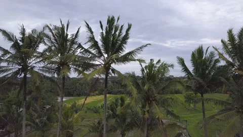 View of Bali island Stock Footage 147486048