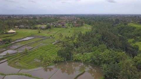 View of Bali island Stock Footage 147486513