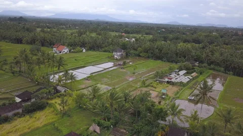 View of Bali island Stock Footage 147487431