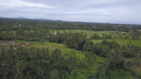 View of Bali island Stock Footage 147489335