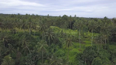 View of Bali island Stock Footage 147489683