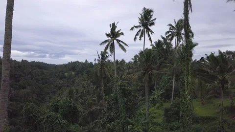View of Bali island Stock Footage 147579897