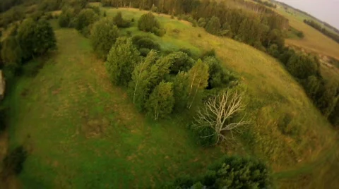 View from a balloon basket on a field trees Видео 829197