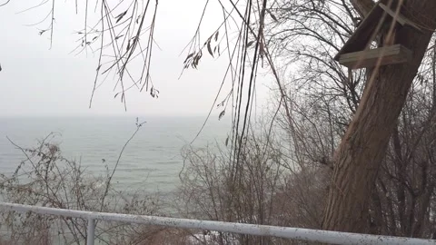 View at the Baltic Sea from cliff during winter. Babie Doły, Gdynia, Poland. Stock Footage 258888587