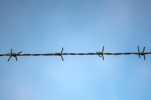 View on barbed wire Stock Photos