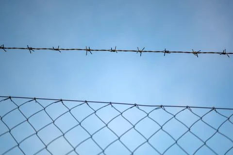 View on barbed wire Stock Photos