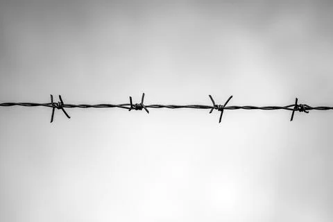 View on barbed wire Stock Photos