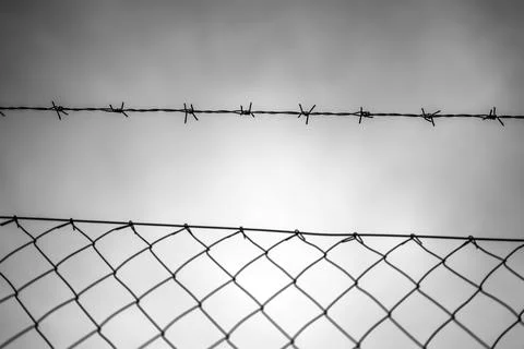 View on barbed wire Stock Photos