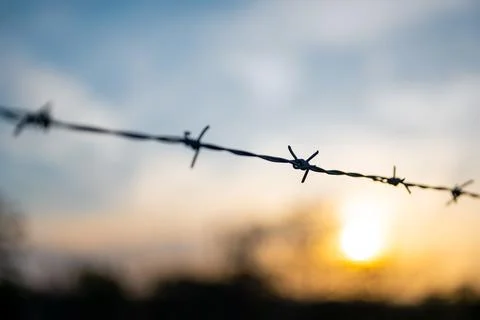 View on barbed wire Stock Photos