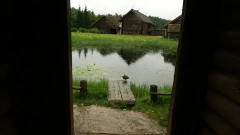 View from barn to small pond overgrown with duckweed and wooden log cabins Video stock 318553656