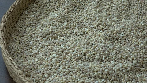 View into a basket full of wheat grains. Wheat grains. Wheat and cereals. 스톡 동영상 103039972
