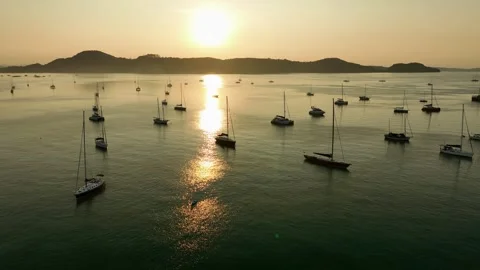 View of the bay with boats Video stock 272281145