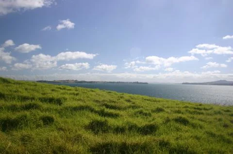 View of Bay &amp; Grass Stock-Fotos