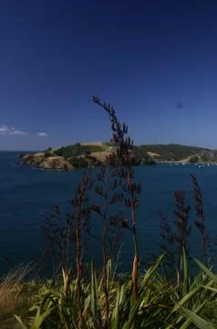 View of Bay &amp; Plants Stock Photos
