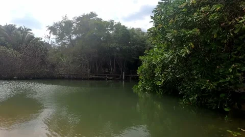 View of the bay surrounded by lots of greenery. Stock Footage 230079262