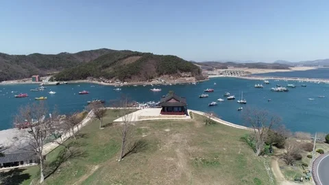 View of the bay with temple Video stock 305821853