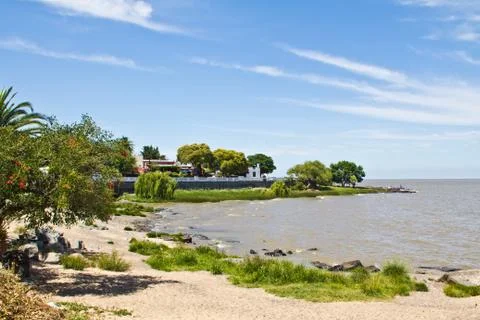 View to the bay with tree in front. Stock Photos
