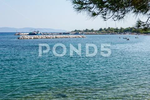 View on the bay trough pine tree, artificial reef Stock Photos