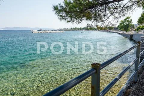 View on the bay trough pine tree, artificial reef Stock Photos
