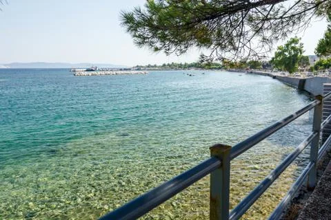 View on the bay trough pine tree, artificial reef Stock Photos