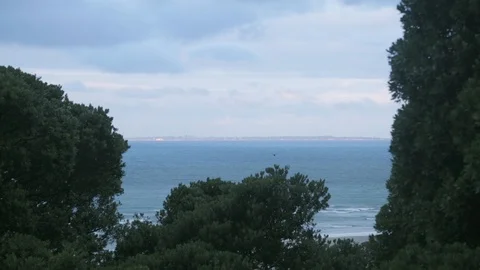 View of a beach above a treeline Video stock 93722823
