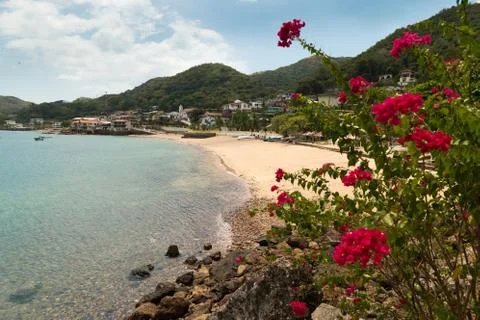View of beach and flowers of Isla Taboga Panama City Stock Photos