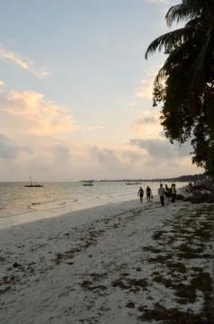 View of the beach and ocean Stock Photos