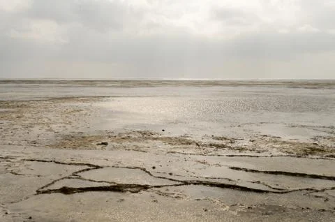 View of the beach and ocean Stock Photos