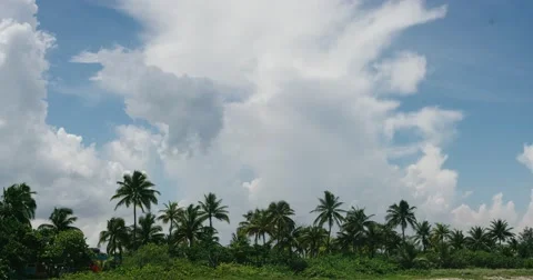 View of the beach and palm trees swaying in the wind. Cloudy sky Cuba. Timelapse Stock Footage 68054564