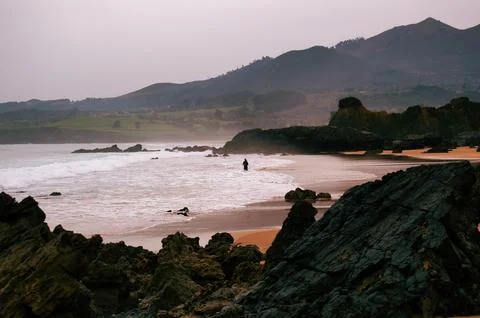 View of the beach and rocks Stock Photos