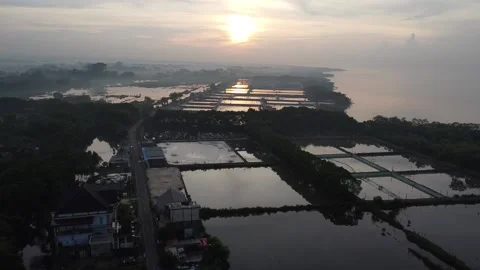 View of the beach and shrimp ponds, from top to bottom Stock Footage 233944983
