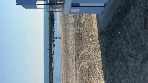 View on the beach in Anzio, Italy. Vertical video Stock Footage 195199192