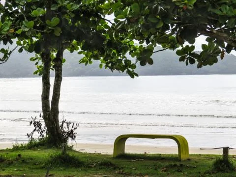 View of the beach with bench and tree in the foreground. Stock Photos