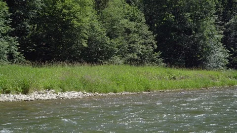 View of the beach from boats on the forest river Stock Footage 112347192