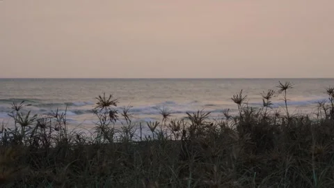 View of the beach with calm waves in the afternoon Stock Footage 274646417