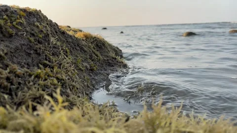 View of the beach with calm waves Stock Footage 286853544