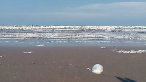 View of the beach with a cool atmosphere of wind and roaring waves, hit by the w Stock Footage 222476384