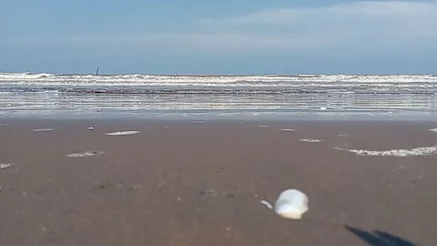 View of the beach with a cool atmosphere of wind and roaring waves Stock Footage 222476894